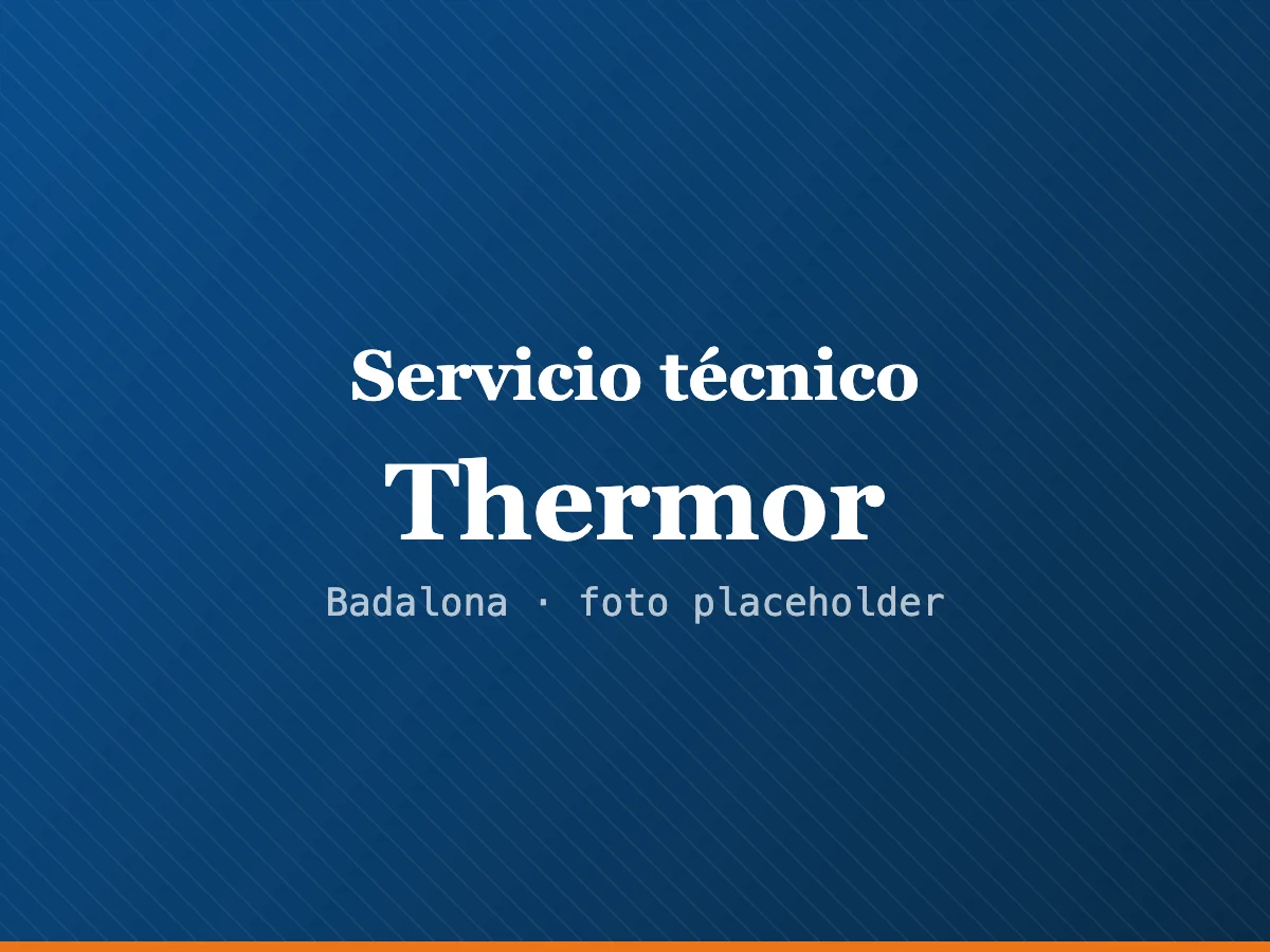 Servicio técnico de calderas Thermor en L'Hospitalet