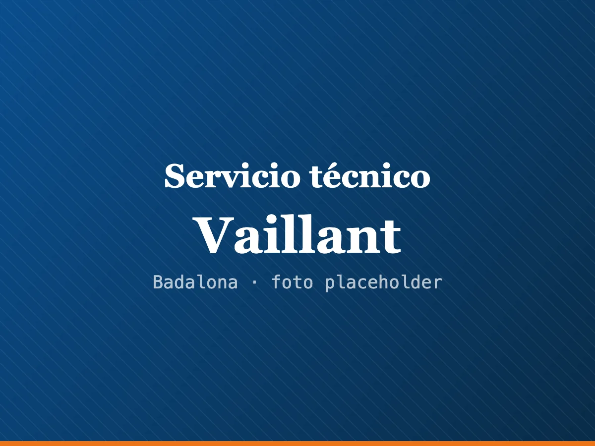 Servicio técnico de calderas Vaillant en L'Hospitalet