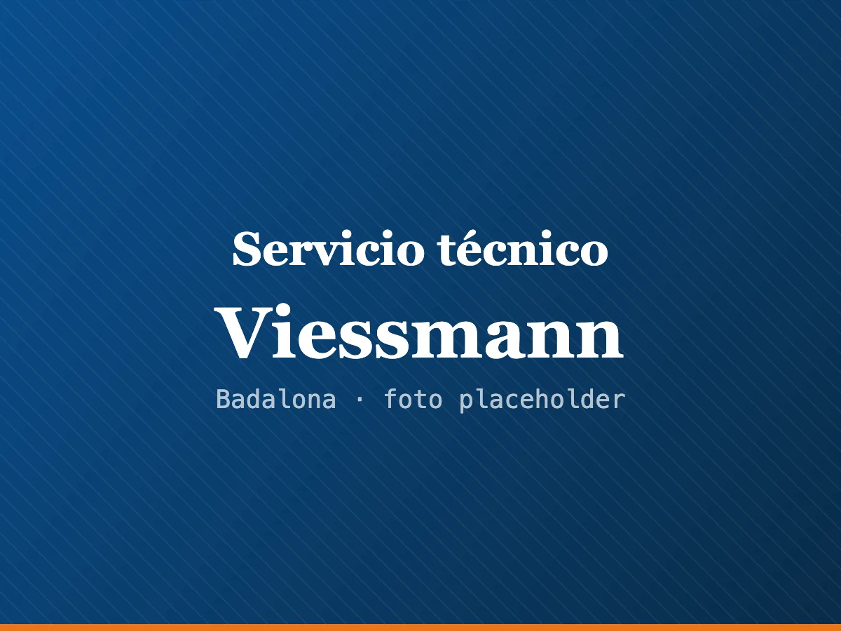 Servicio técnico de calderas Viessmann en L'Hospitalet