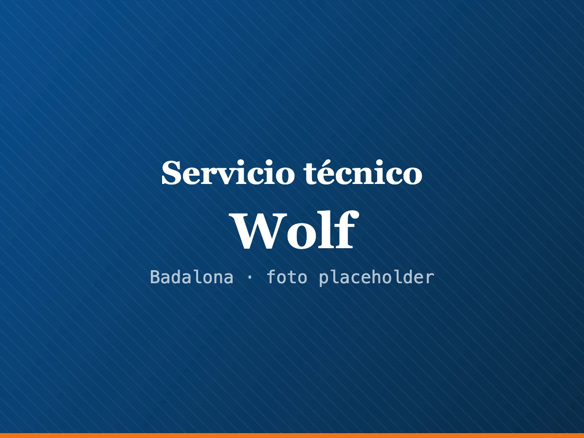 Servicio técnico de calderas Wolf en L'Hospitalet